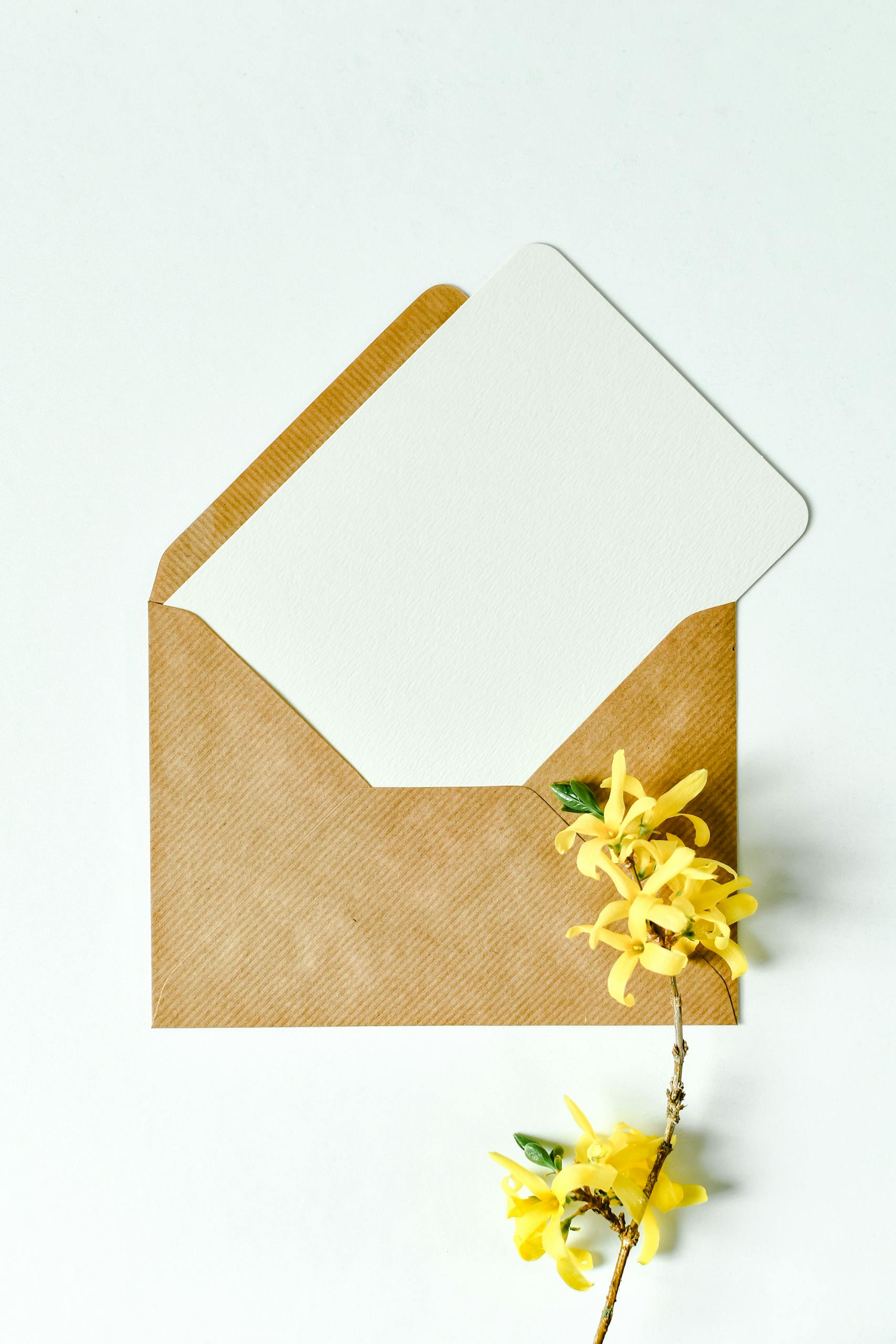 Brown envelope with forsythia flowers on white background, perfect for invitations or stationery mockup.